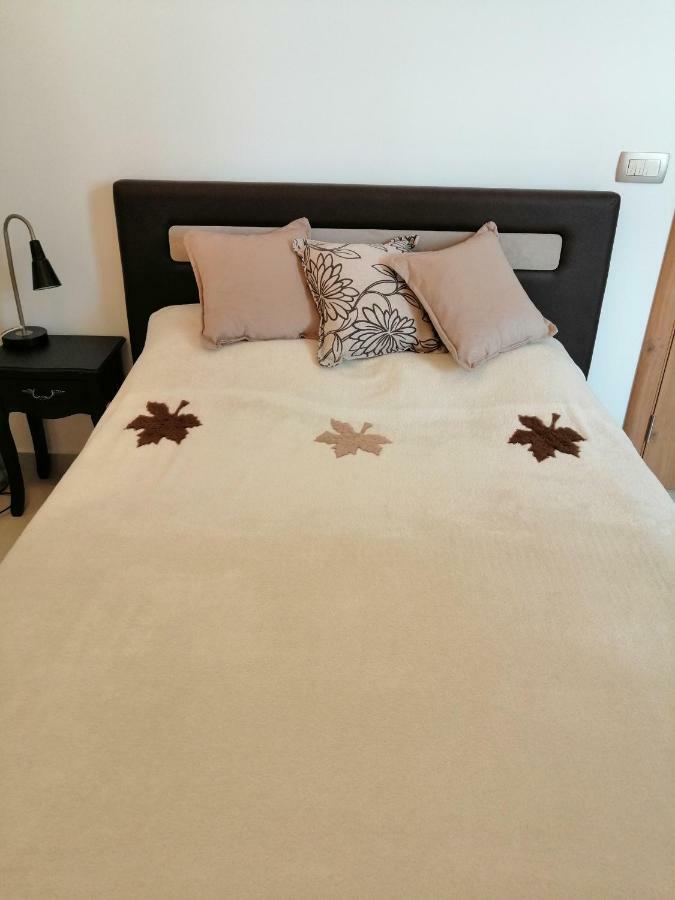 Studio Apartman Irena 2 比耶拉 外观 照片